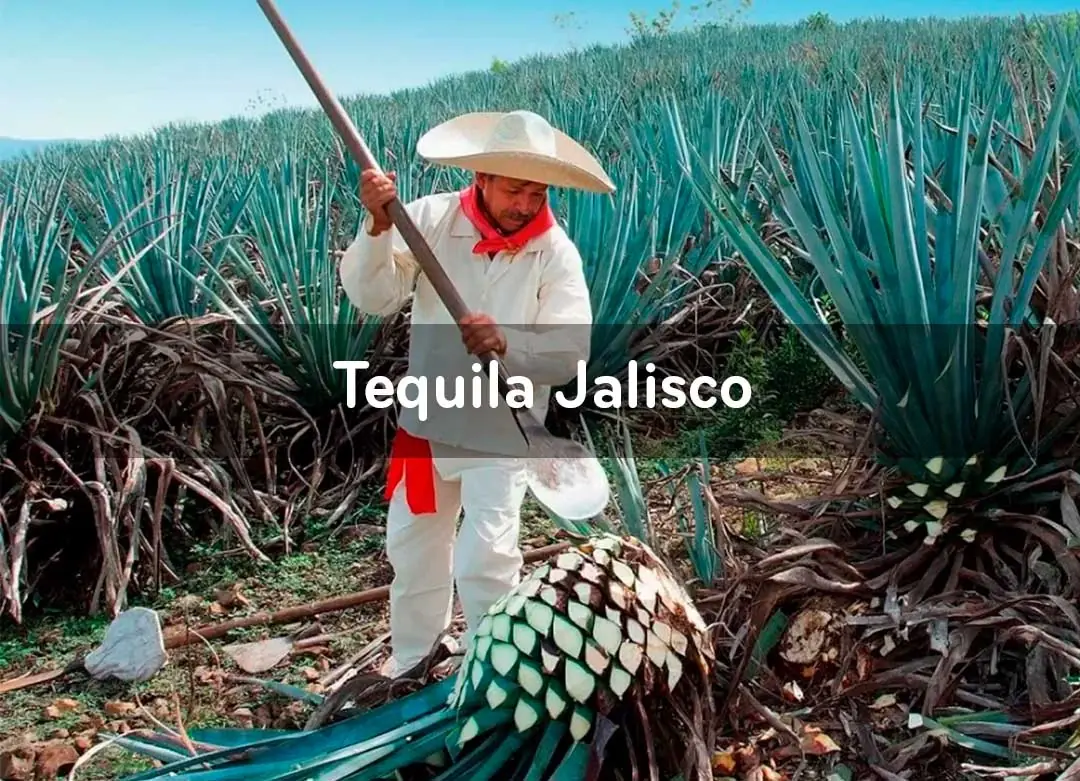 Atracción 6: Tequila, Jalisco